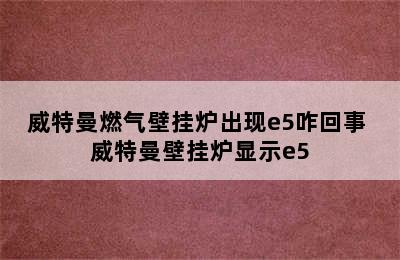 威特曼燃气壁挂炉出现e5咋回事 威特曼壁挂炉显示e5